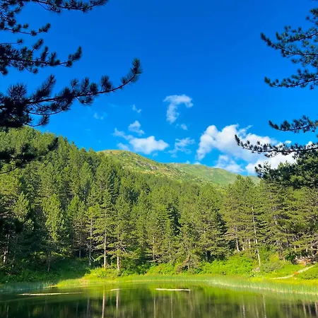 Restaurant Radomira 3* Ceren