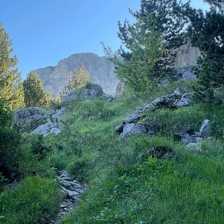 Restaurant Radomira 3*