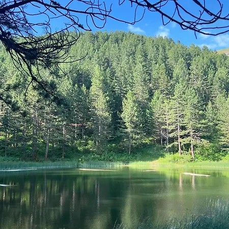 Restaurant Radomira 3* Ceren