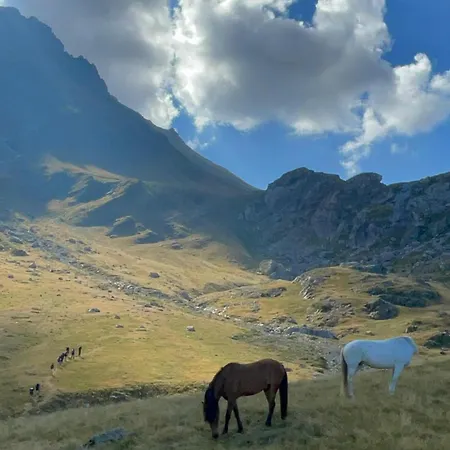 Restaurant Radomira 3*