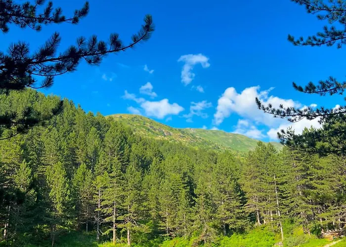 Restaurant Radomira 3* Ceren